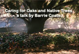Caring for Oaks and Native Trees 