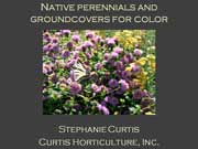 Color from Native Perennials and Groundcovers, a talk by Stephanie Curtis