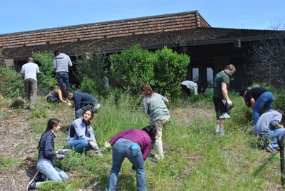 biology class removing invasive grasses lee