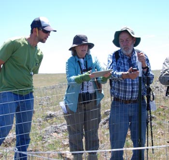 don mayall toni corelli learning to gps