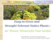 Easy-to-Grow and Drought Tolerant Native Plants