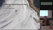 Guadalupe Island Regenerating by Bart O'Brian 