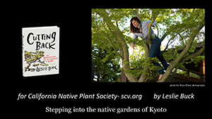 Aesthetic Pruning and Design for the Native Garden