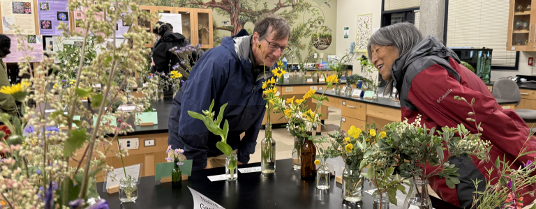 IMG 2868 looking at displays