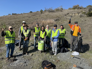 Fountain Thistle Workday