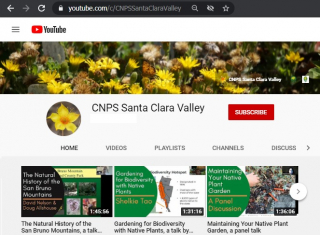 CNPS SCV YouTube channel
