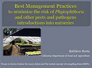 Best Management Practices to minimize the risk of Phytophthora introduction into nurseries
