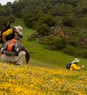 Coyoote lake wildflowers Event Photo