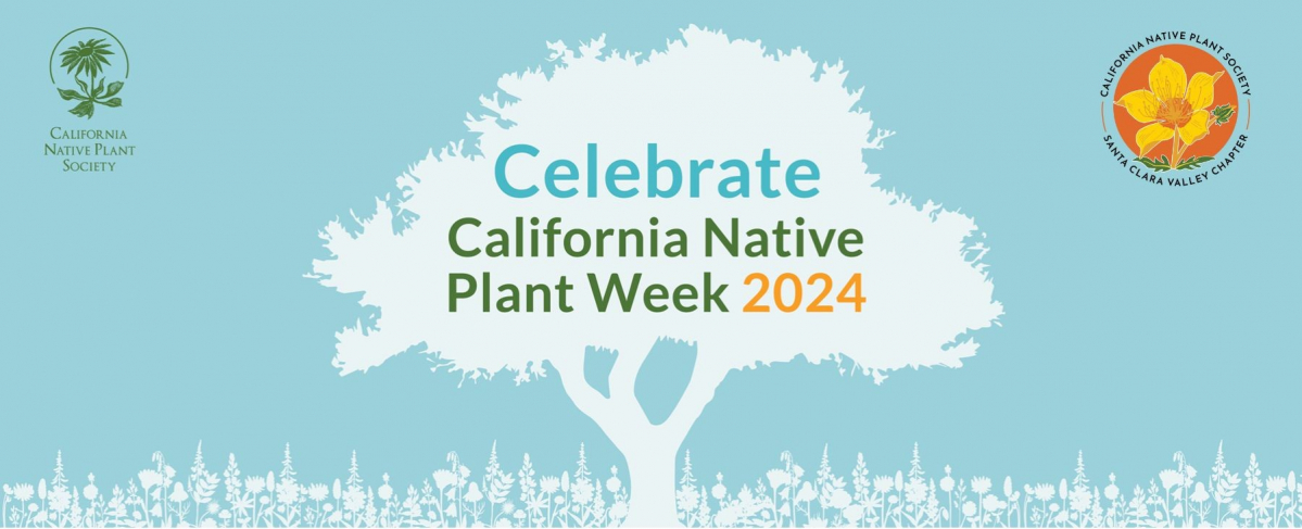 2024 native plant week banner