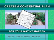 Creating a Conceptual Plan for a Native Garden