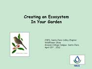 Creating an Ecosystem in Your Garden