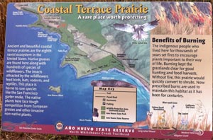 Display: Coastal Terrace Prarie: A rare place worth protecting