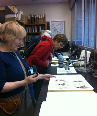 Two people examining herbarium sheets
