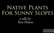 Native Plants for Sunny Slopes