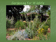 Gardenign for Wildlife