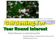 Creating Year-Round Interest in the Garden: 