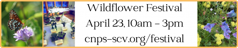 Wildflower Festival - April 23, 2022